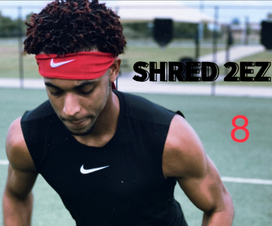 Shred 2EZ Eight